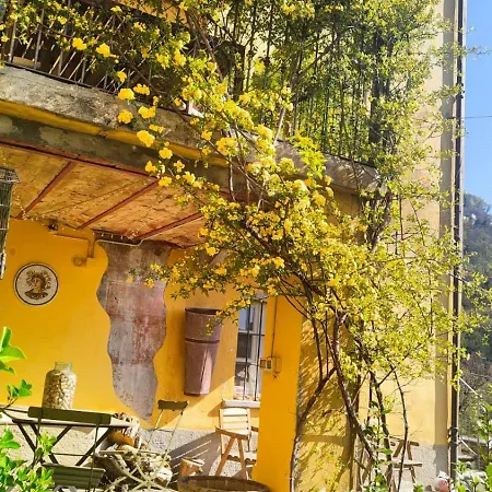 Le Giare Дом отдыха Vignone